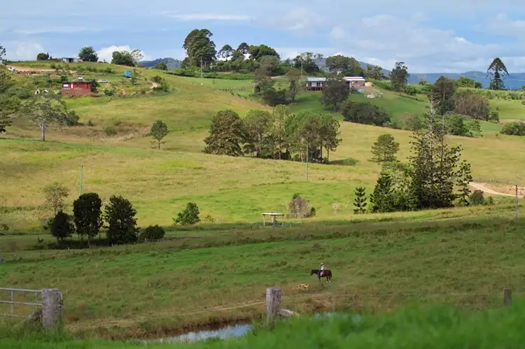 Second view of Homely house listing, 55 Happy Jack Creek Road, Ridgewood QLD 4563