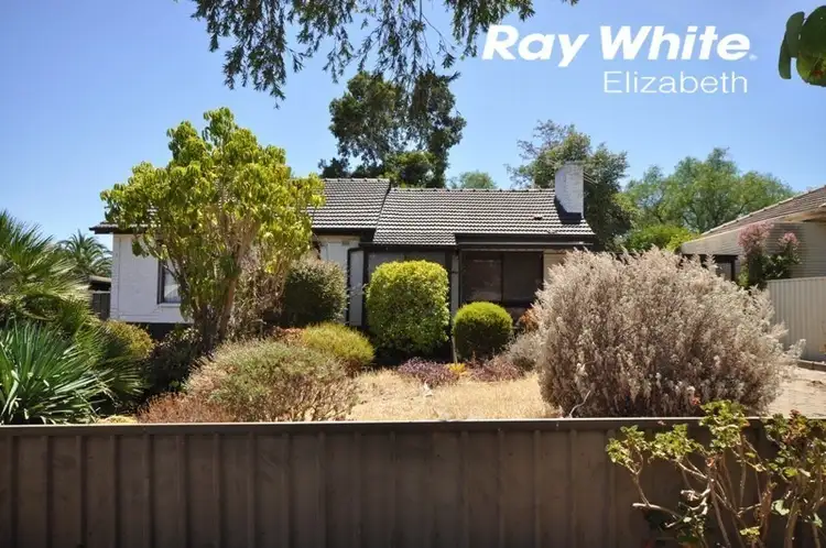 Second view of Homely house listing, 19 Palmer Road, Elizabeth Park SA 5113