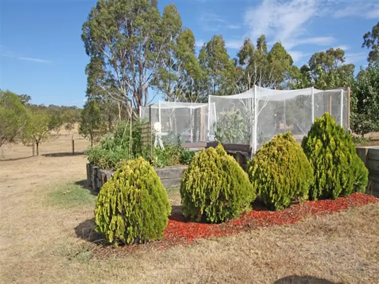 Sixth view of Homely rural property listing, 79 Harriott Road, Bywong NSW 2621