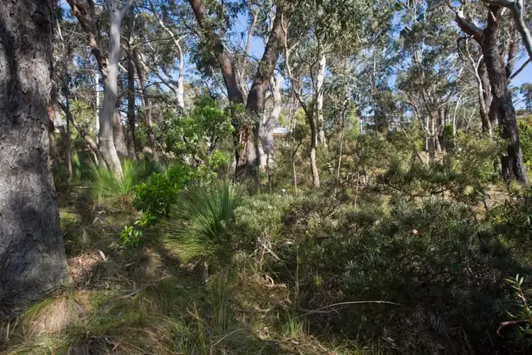 Fourth view of Homely land listing, Block 7 - Lot 174 and 124 DP 16449 - 38 Godson Avenue, Blackheath NSW 2785