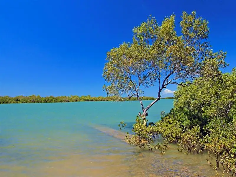 Main view of Homely house listing, 80 Hoys Road, Coowonga QLD 4702