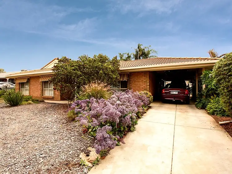 Main view of Homely house listing, 6 Najar Court, Berri SA 5343