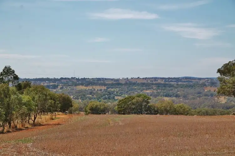 Second view of Homely land listing, 405 (Lot 3) Spring Creek Road, Young NSW 2594