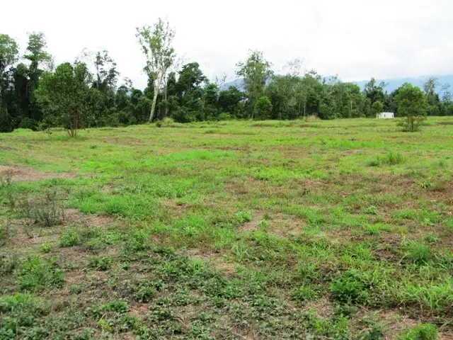 Sixth view of Homely land listing, Lot 163 Raes Road, Abergowrie QLD 4850