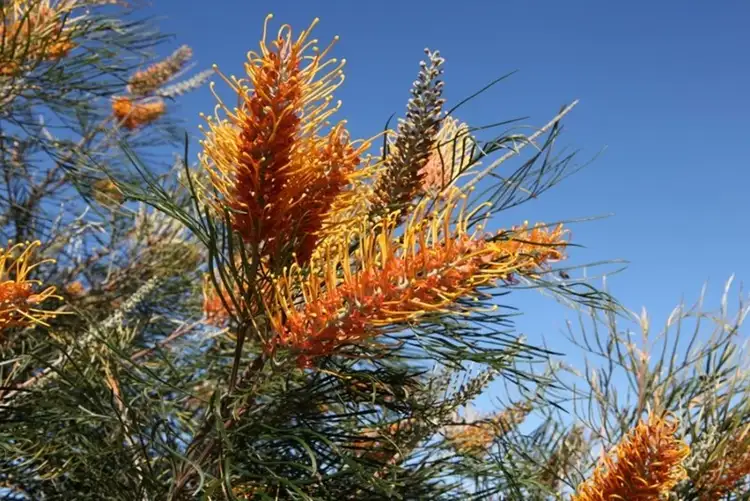 Seventh view of Homely land listing, 335 Dorset Drive, Deepdale WA 6532