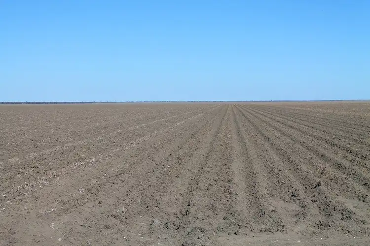 Fifth view of Homely rural property listing, Lot 1 'Ballandool Station', Ballandool Road, Hebel QLD 4486