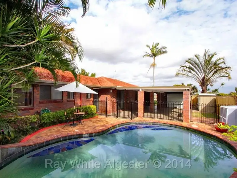 Main view of Homely house listing, 31 Booyong Street, Algester QLD 4115