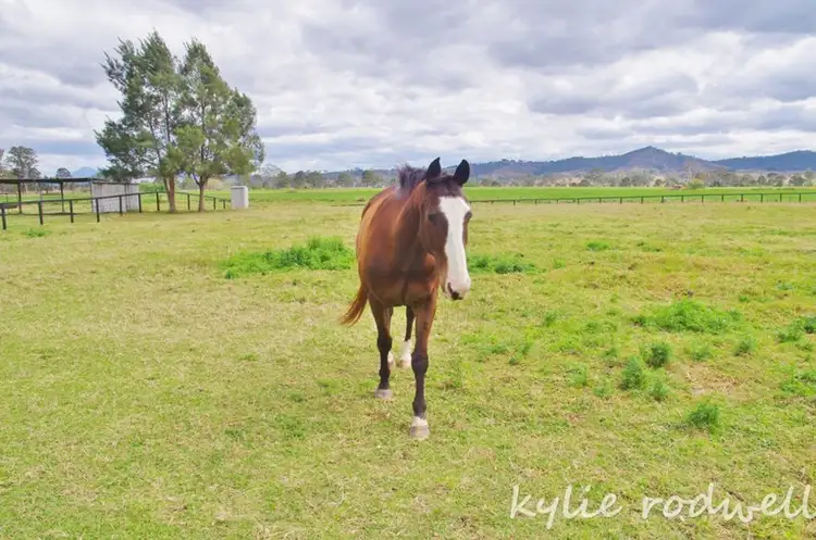 Third view of Homely house listing, 8652 Mt Lindesay Highway, Beaudesert QLD 4285