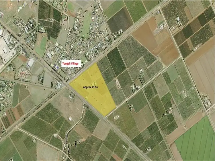 Main view of Homely rural property listing, 229 Leeton Road, Yoogali NSW 2680