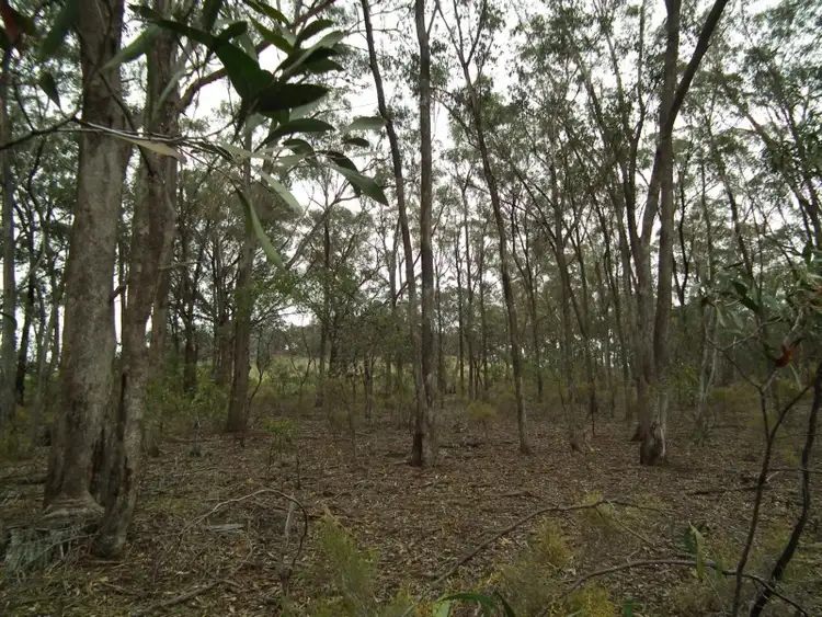 Fourth view of Homely rural property listing, Lot 1 Spring Lane, Bailieston VIC 3608