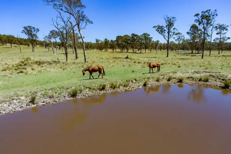 Seventh view of Homely rural property listing, 230 Crooks Road, Mandalong NSW 2264