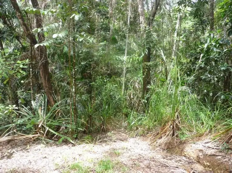 Third view of Homely land listing, Lot 16 Forest Close, Daintree QLD 4873