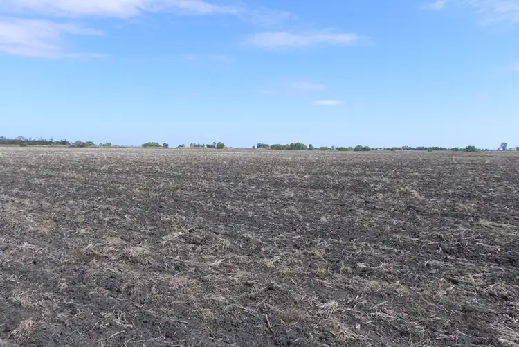 Seventh view of Homely rural property listing, 351 Yarranlea Road, Pittsworth QLD 4356