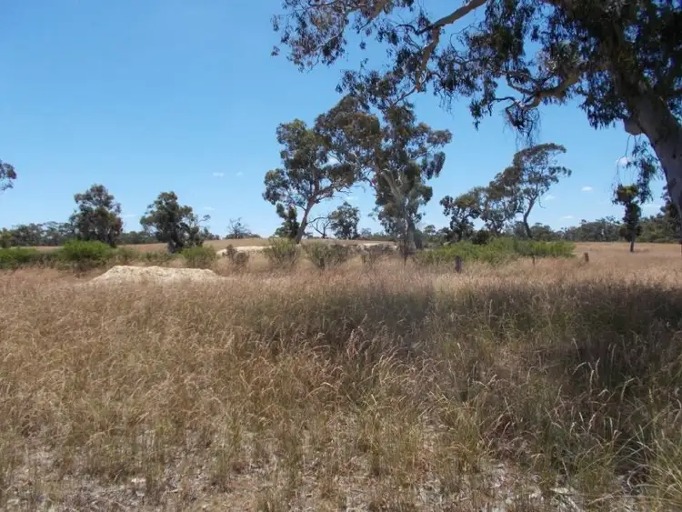 Second view of Homely rural property listing, 979 My Mi Mi Road, Bangham SA 5268