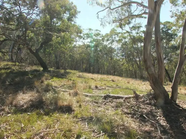 Fourth view of Homely rural property listing, Address available on request