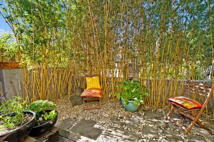 Fourth view of Homely apartment listing, 2/86 Beach Road, Bondi Beach NSW 2026