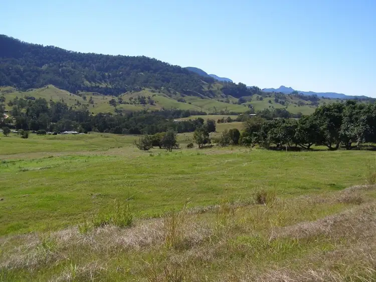 Third view of Homely rural property listing, 187 Tyalgum Creek Road, Tyalgum Creek NSW 2484