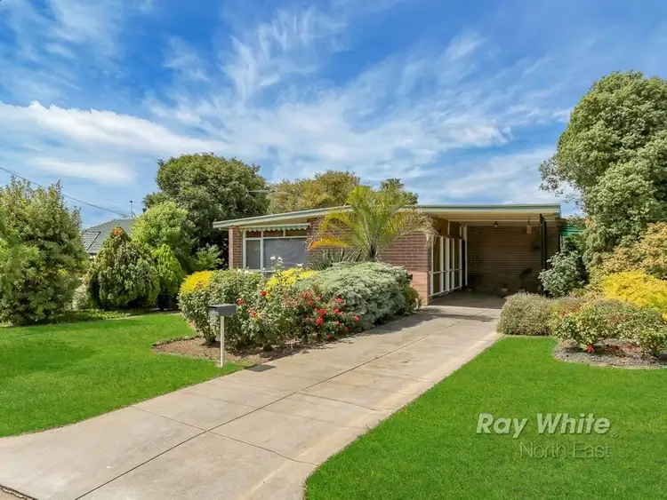19 Marriott Avenue, Modbury North SA 5092