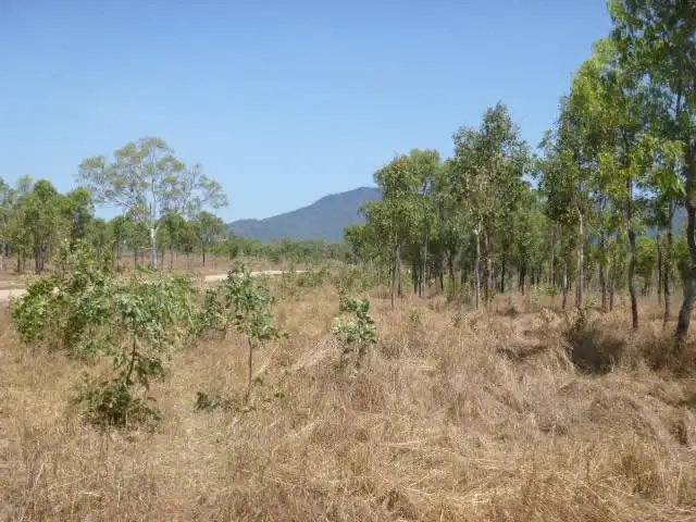 Seventh view of Homely land listing, Lot 1 Mount Amos Road, Cooktown QLD 4895