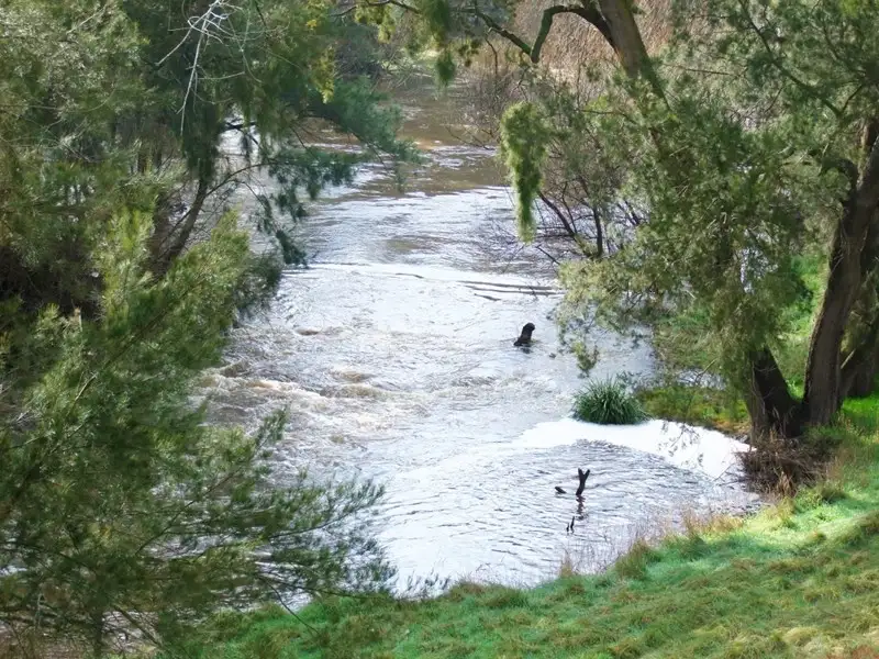 Main view of Homely rural property listing, Lot 1 Mutton Falls Road, Bathurst NSW 2795