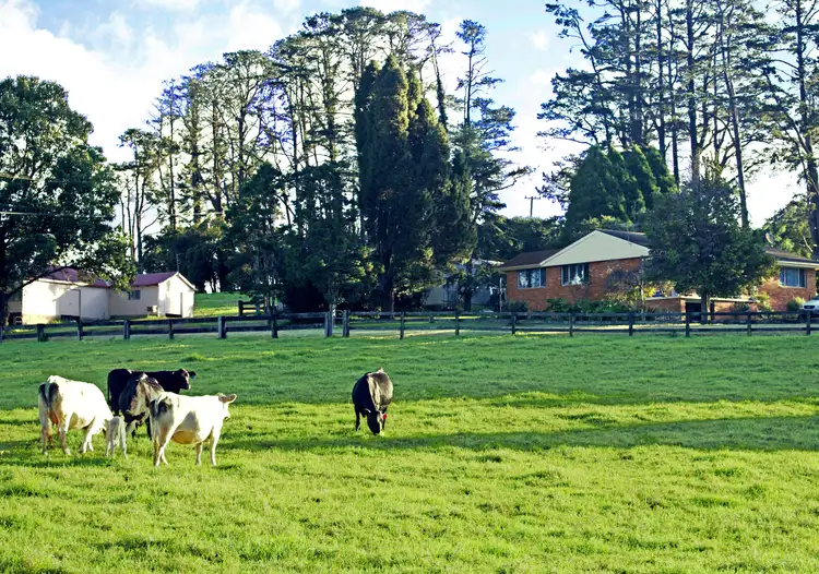 Third view of Homely rural property listing, 5287 Waterfall Way, Dorrigo NSW 2453