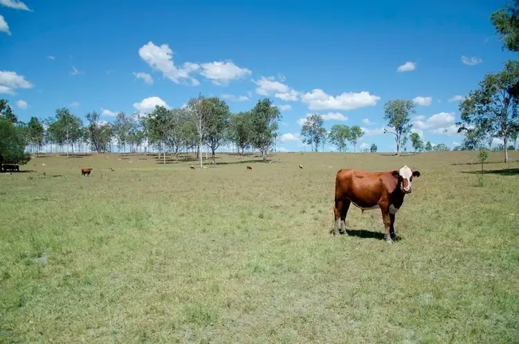 Fourth view of Homely rural property listing, Lot 1 Muna-Miva Road, Miva QLD 4570