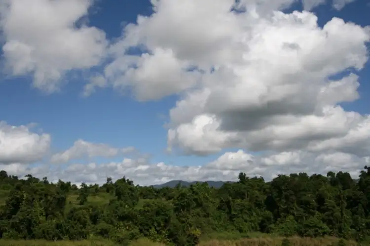 Seventh view of Homely rural property listing, 239 Dunne Road, East Palmerston QLD 4860