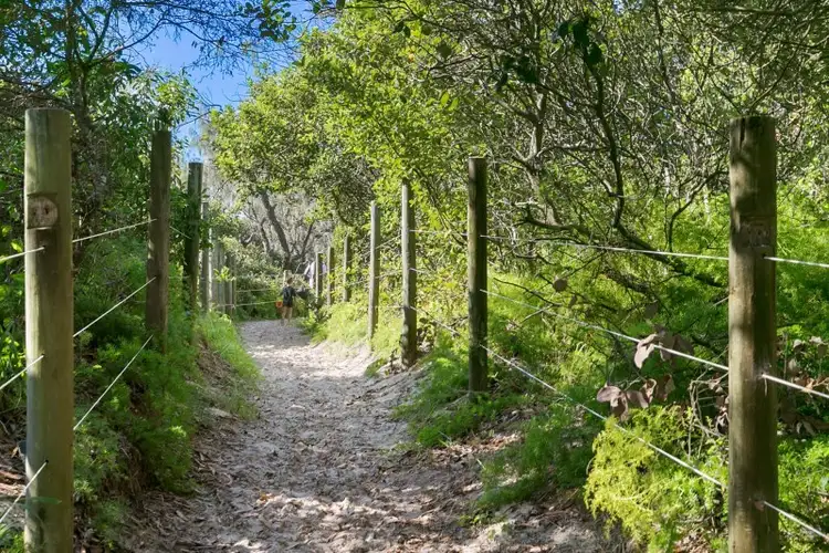 Second view of Homely land listing, 31 Joanne Street, Marcoola QLD 4564