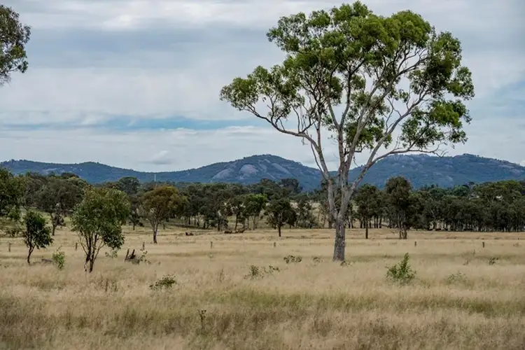 Fifth view of Homely rural property listing, 398 Brushabers Road, Tenterfield NSW 2372