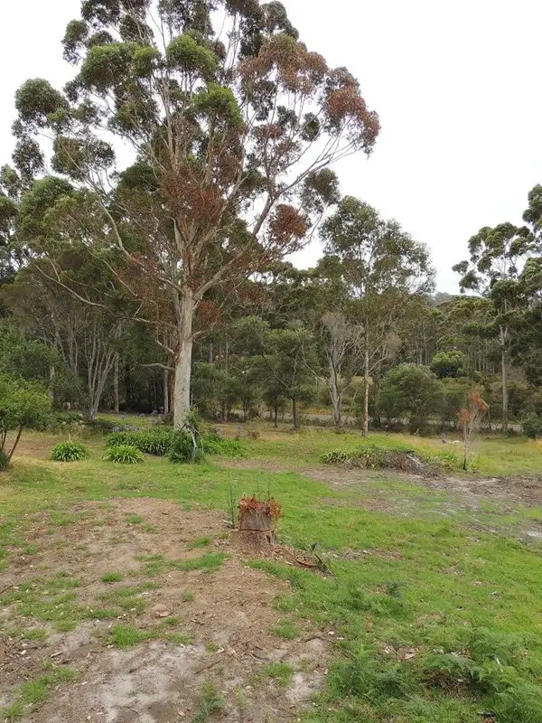 Fifth view of Homely house listing, 67 Peace Street, Denmark WA 6333