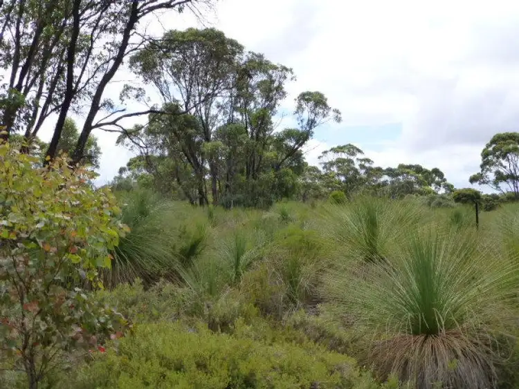 Seventh view of Homely rural property listing, 142 Shane Burke Circle, Denmark WA 6333