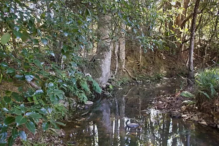 Fifth view of Homely rural property listing, 335 Chilcotts Road, Crystal Creek NSW 2484