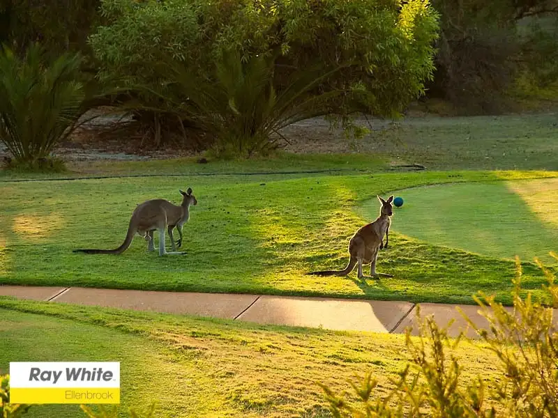 Main view of Homely house listing, 25 The Fairways, The Vines WA 6069