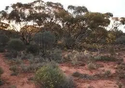 Main view of Homely land listing, 3 Old Railway Road, Steinfeld SA 5356