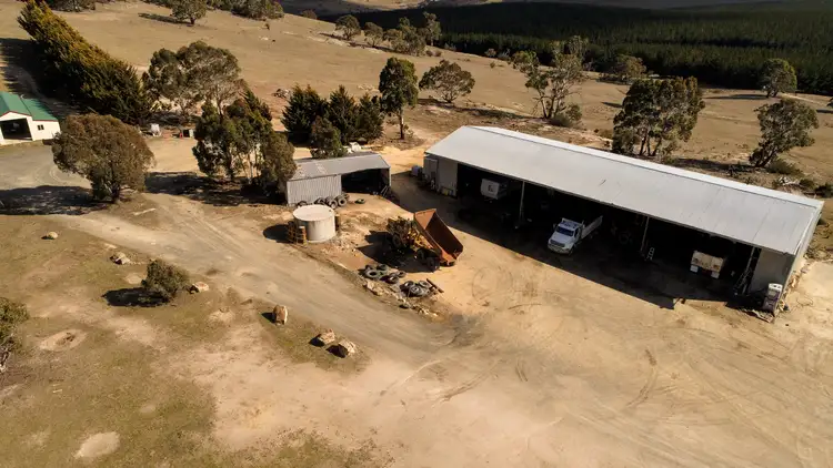 Third view of Homely rural property listing, 343 Gunningrach Road, Bombala NSW 2632