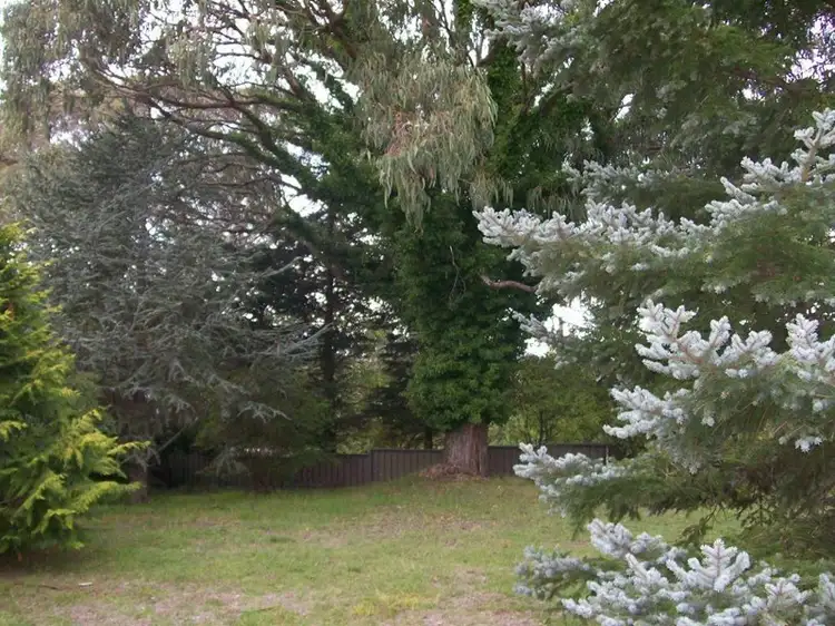 Seventh view of Homely rural property listing, 795 Barry Road, Hanging Rock NSW 2340