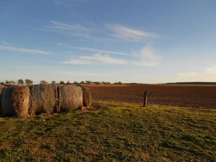 Main view of Homely rural property listing, 101 Mayr Road, Lameroo SA 5302