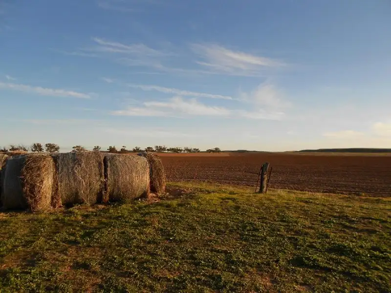 Main view of Homely rural property listing, 101 Mayr Road, Lameroo SA 5302