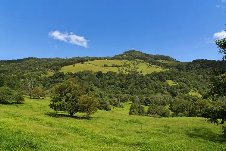 Seventh view of Homely rural property listing, 348 Carool Road, Carool NSW 2486