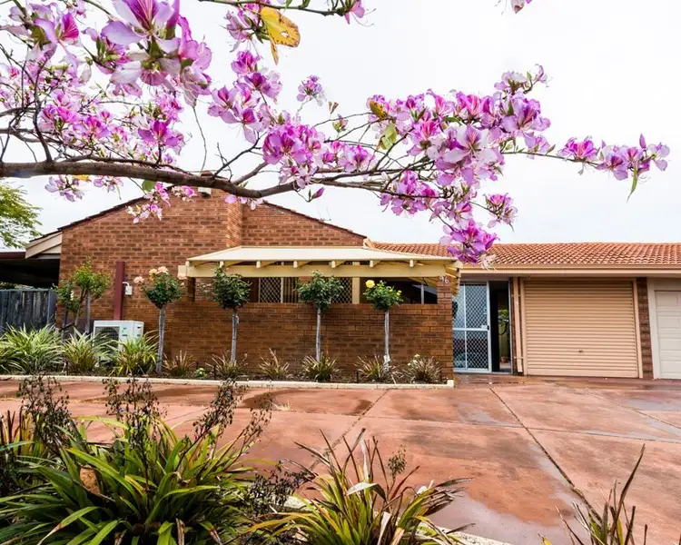 96 Rannoch Circle, Hamersley WA 6022