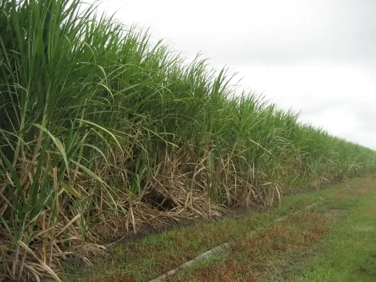 Fifth view of Homely rural property listing, Address available on request