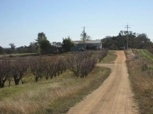 Main view of Homely land listing, 876 Boundary Road, Young NSW 2594