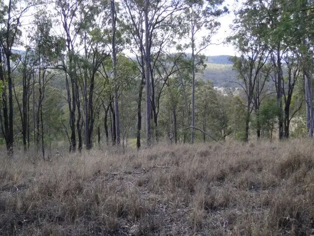 Third view of Homely rural property listing, 51 Watts Road, Murphys Creek QLD 4352