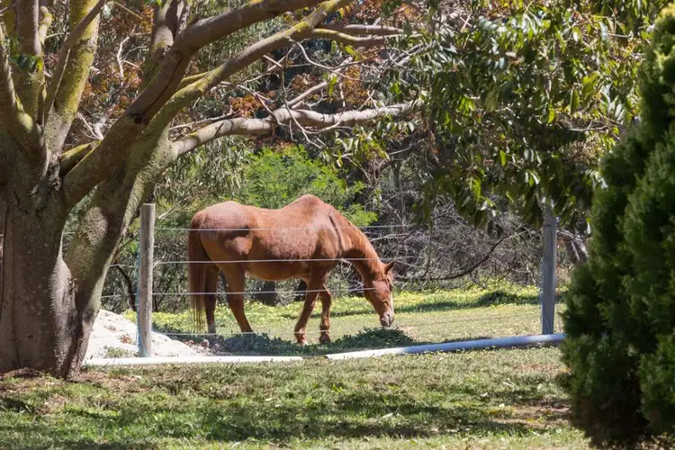 Second view of Homely rural property listing, 32 Hurst Road, Paracombe SA 5132