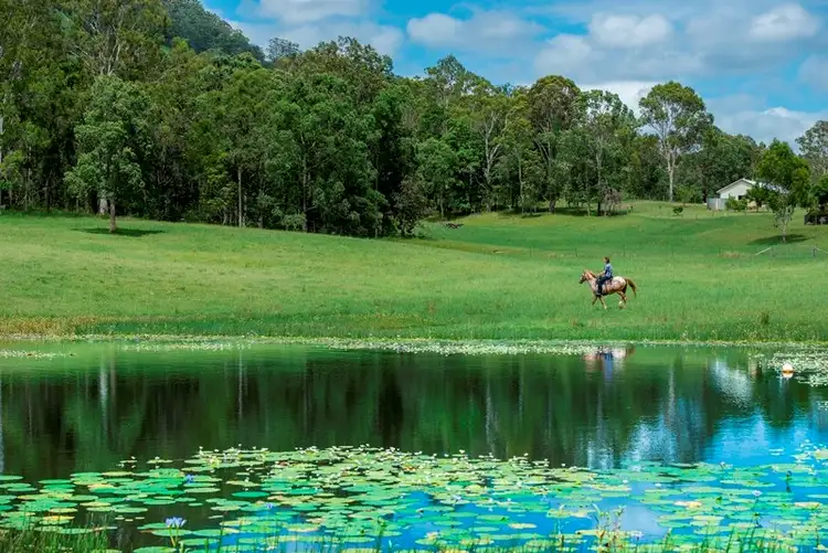 Fifth view of Homely rural property listing, 885 Browns Creek Road, Eerwah Vale QLD 4562