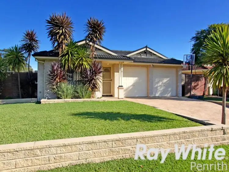 Address available on request