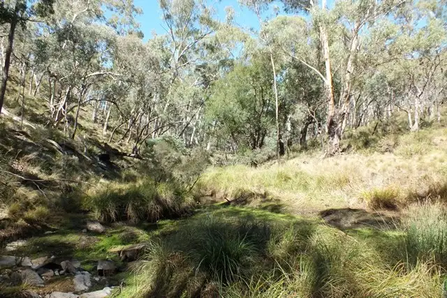 Fourth view of Homely rural property listing, Lot 3 Soldiers Hill Road, Oberon NSW 2787