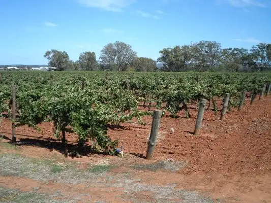 Fourth view of Homely land listing, Lot 21 Stockwell Road, Stockwell SA 5355