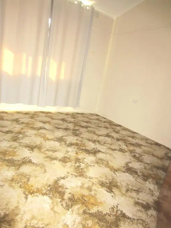 Seventh view of Homely house listing, 56 Gundagai Road, Cootamundra NSW 2590