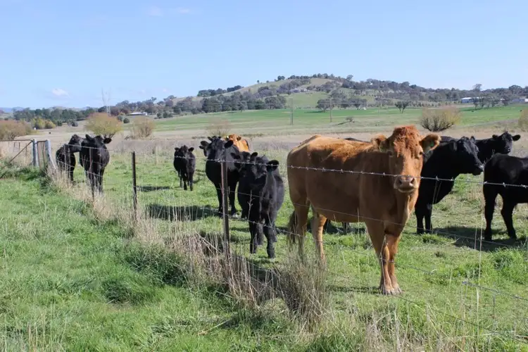 Seventh view of Homely land listing, Lot 1 Wallaroo Road., Wallaroo NSW 2618